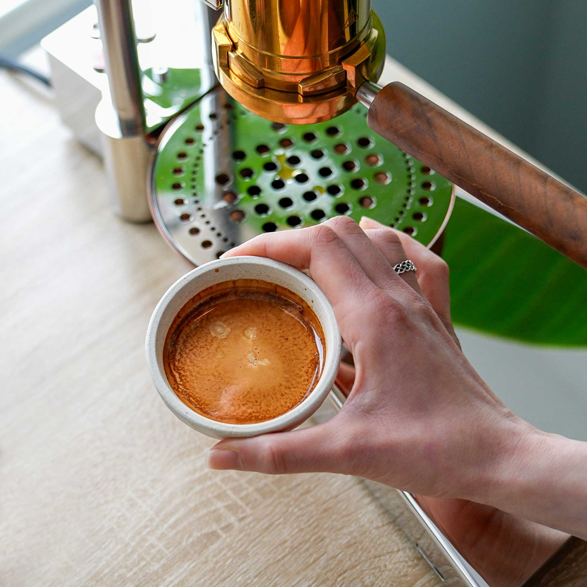 Earth Espresso Collection - All Colours - Image 8